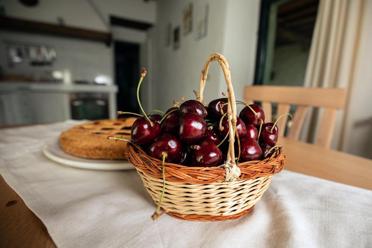 Piancasalemia Apartment Londa Ngoại thất bức ảnh